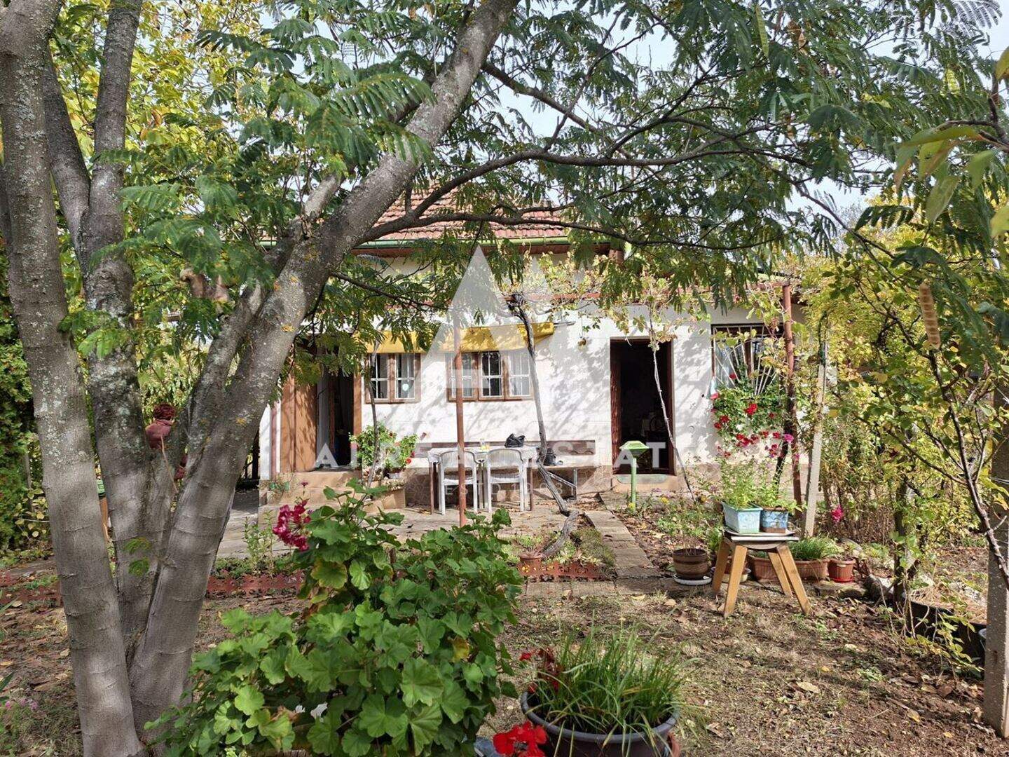 House in Kozhuharska cheshma, Pleven – photo 4