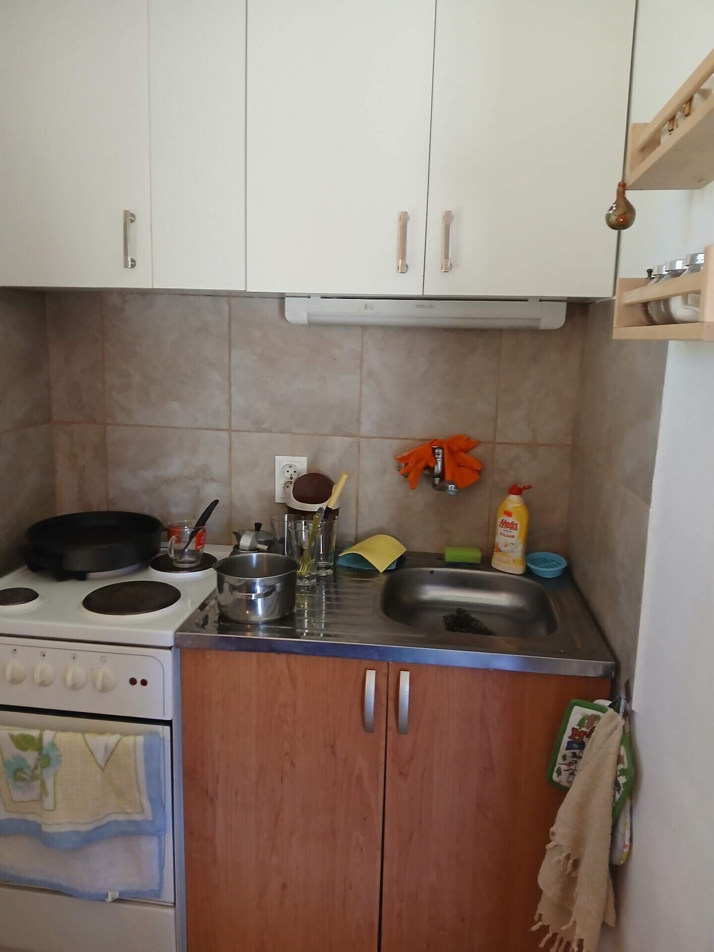 House in Golema Rakovitsa, Sofiyska – photo 6