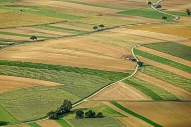 Vânzare - Teren agricol în Svoboda,  Dobrice