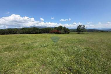 For sale - Agricultural land in Razlog,  Blagoevgrad