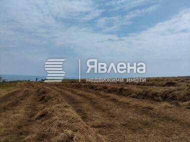 Verkauf - Landwirtschaftlich Grundstück in Zarewo,  Burgas