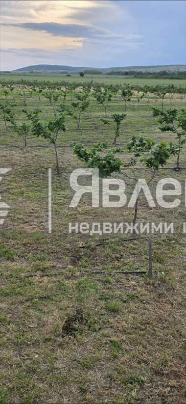 For sale - Agricultural land in Pomorie,  Burgas