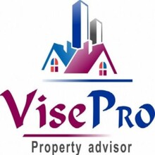 Vise Pro