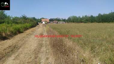 Продажба - Къща в Родина,  Велико Търново