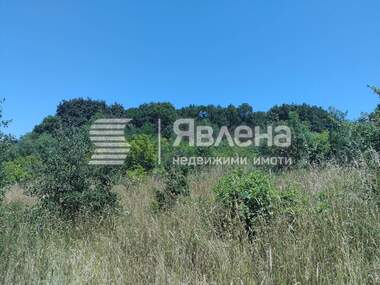 Verkauf - Landwirtschaftlich Grundstück in Rezowo,  Burgas