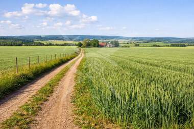 For sale - Agricultural land in Markovo,  Plovdiv