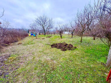 For sale - Agricultural land in Dolapite,  Ruse