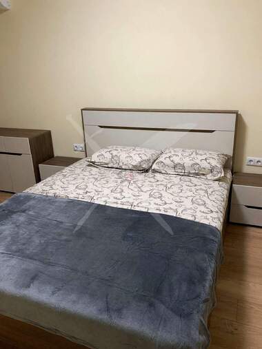 Miete - Wohnung in Raön Zapaden,  Plowdiw