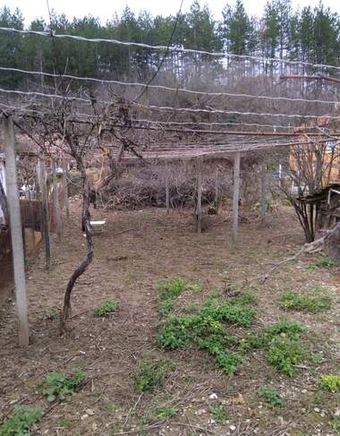 For sale - For Construction in Nevestino,  Kiustendil