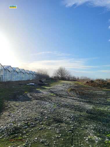 For sale - Agricultural land in Govedare,  Pazardjik