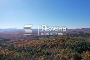 Продажба - Парцел за строителство в Пауново,  София Област