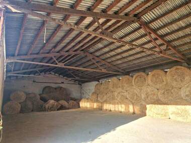 For sale - Warehouse/Storage in Riahovo,  Ruse