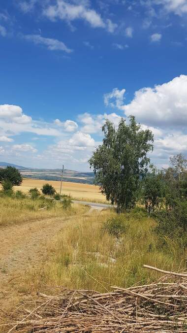 For sale - For Construction in Sapareva Bania,  Kiustendil