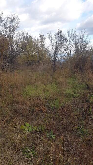 For sale - For Construction in Visoka Mogila,  Kiustendil