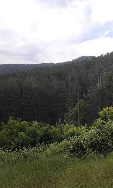 Verkauf - Baugrundstück in Koluscha,  Küstendil