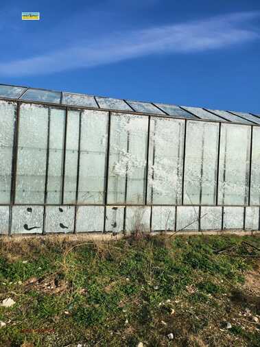 For sale - Agricultural land in Govedare,  Pazardjik