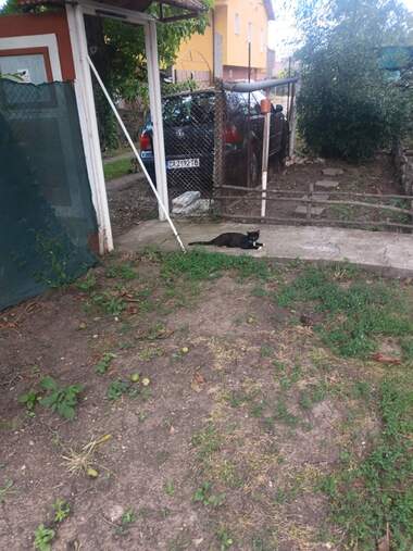 Vânzare - Casă în Strajețki lozia,  Razgrad