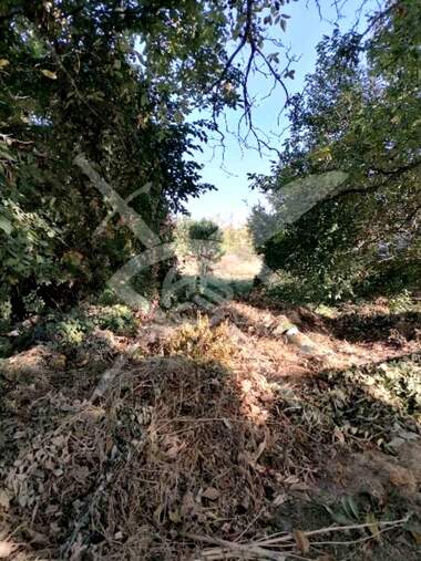 For sale - For Construction in Branipole,  Plovdiv