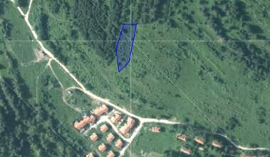 For sale - Meadow/pasture in Batak,  Pazardjik