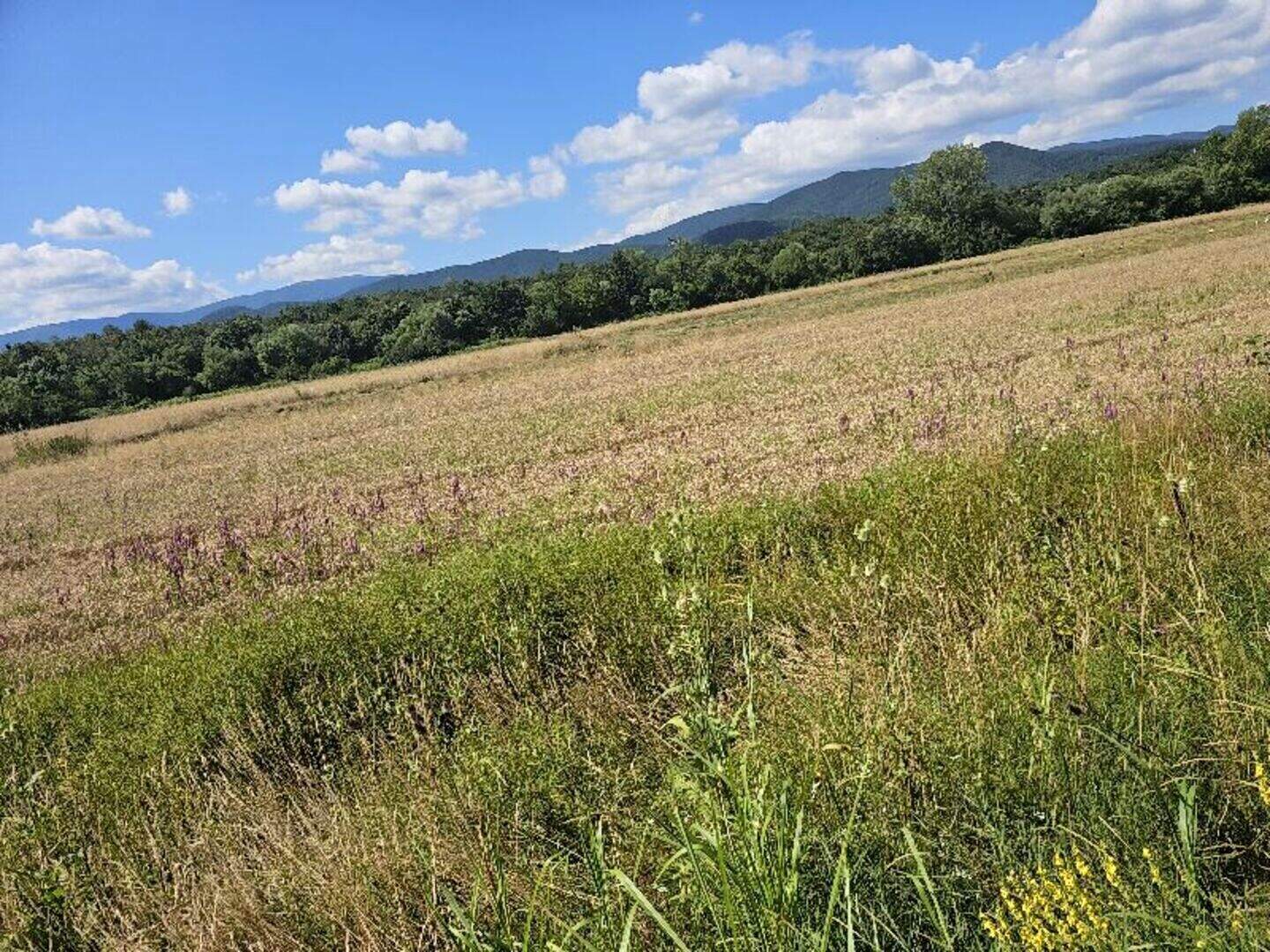 Landwirtschaftlich Grundstück in Litakowo, Sofiyska – Foto 2