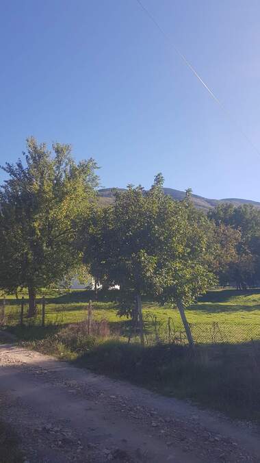 For sale - For Construction in Sapareva Bania,  Kiustendil