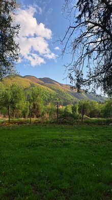 Румина Лазарова