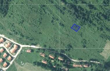 For sale - Meadow/pasture in Batak,  Pazardjik