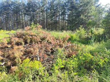 For sale - For Construction in Logodaj,  Blagoevgrad