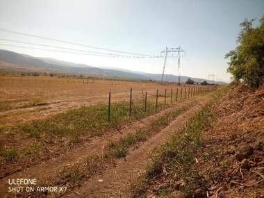 Verkauf - Landwirtschaftlich Grundstück in Plovdiv,  Plovdiv