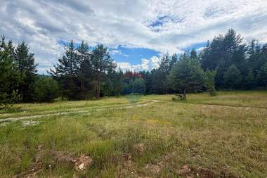 For sale - Agricultural land in Bania,  Blagoevgrad