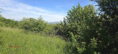 Πώληση - Οικόπεδο για κατασκευή σε Кондофрей,  Перник
