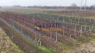 For sale - For Construction in Brestnik,  Plovdiv
