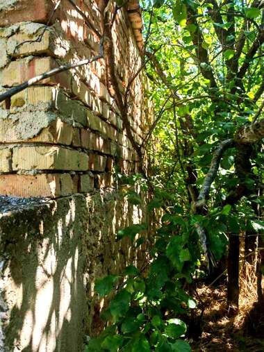 For sale - House in Dobrina,  Varna