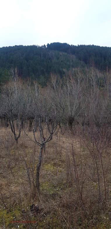 Verkauf - Baugrundstück in Saparewa Bania,  Küstendil