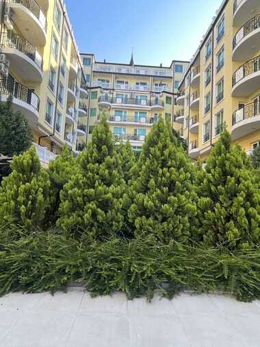 Verkauf - Wohnung in Elenite,  Burgas