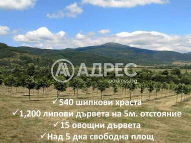 For sale - Agricultural land in Gorno Kamarci,  Sofia Oblast
