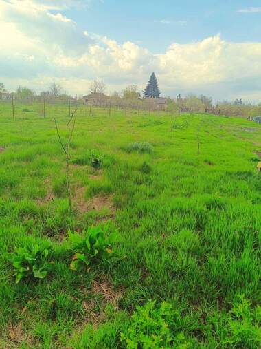 For sale - For Construction in Bezvoditsa,  Dobrich