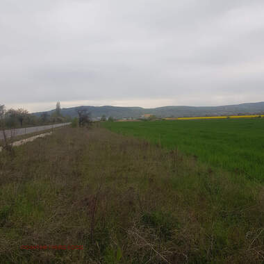 Verkauf - Baugrundstück in Dupniza,  Küstendil