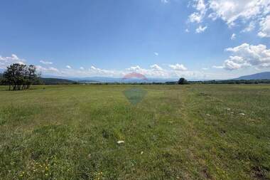 For sale - Agricultural land in Razlog,  Blagoevgrad
