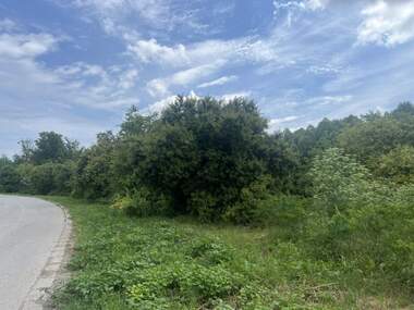 For sale - For Construction in Draganovo,  Dobrich