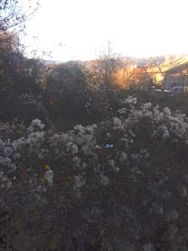 Verkauf - Baugrundstück in Saparewa Bania,  Küstendil