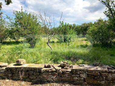 Vânzare - Casă în Vasilevo,  Dobrice