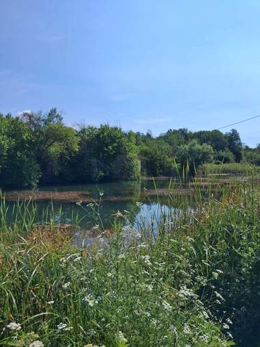 For sale - For Construction in Nevestino,  Kiustendil