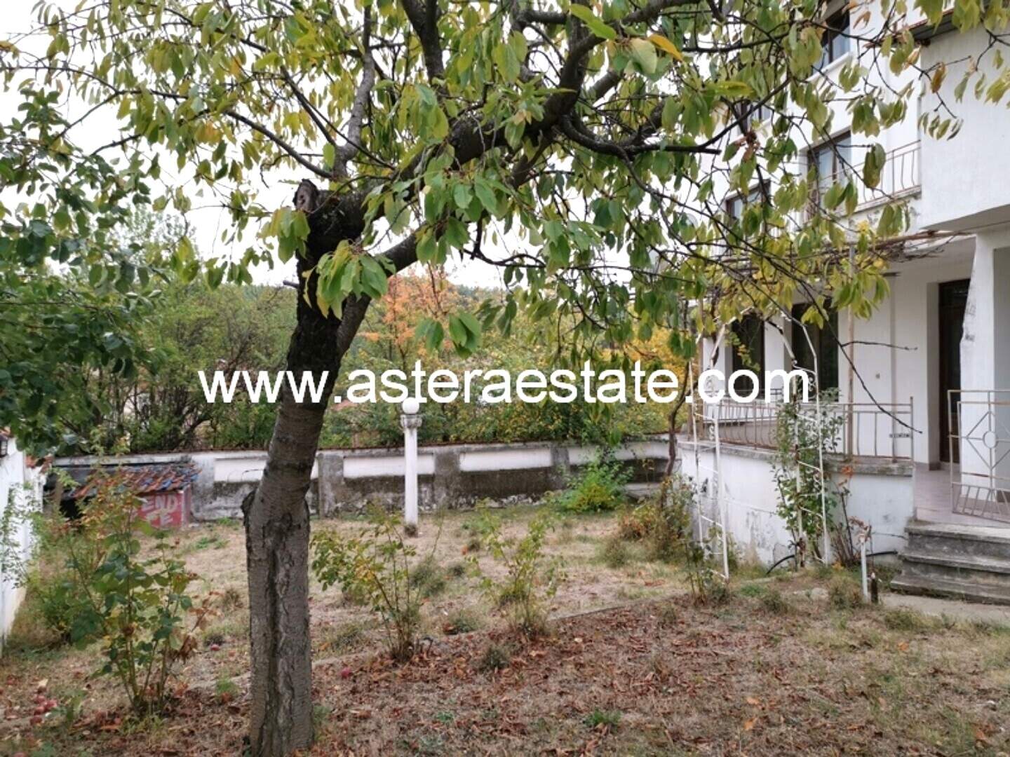 House in Riltsi, Blagoevgrad – photo 5