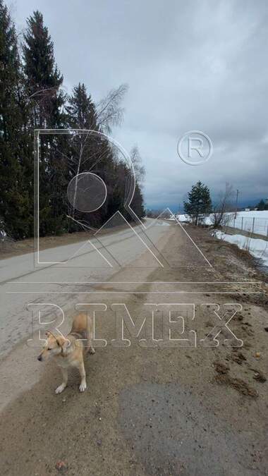 For sale - House in Cigov chark,  Pazardjik