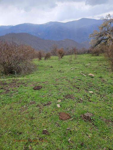 Verkauf - Baugrundstück in Padala,  Küstendil