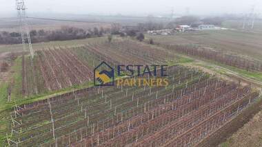For sale - For Construction in Brestnik,  Plovdiv
