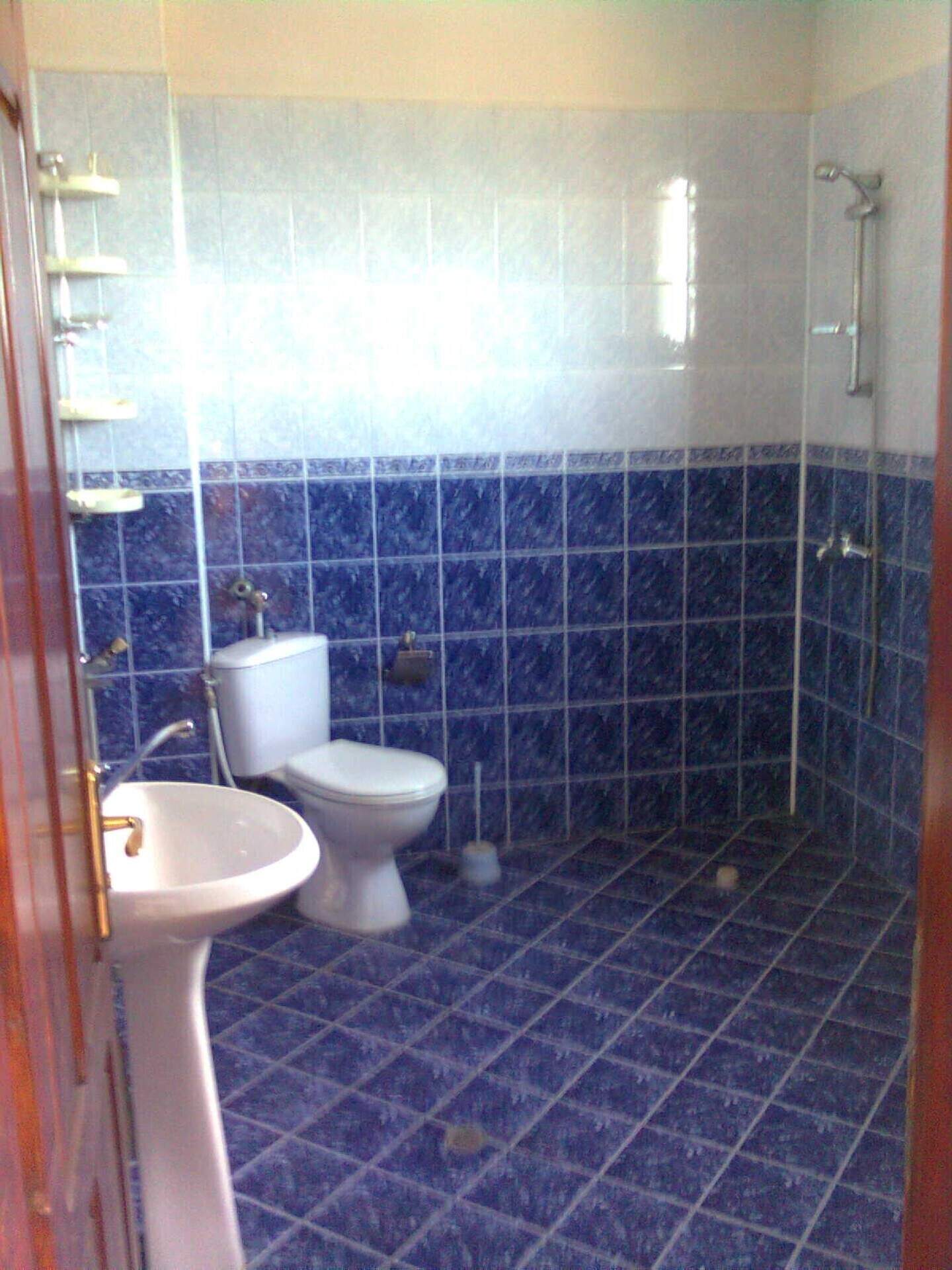 House in Svishtov, Veliko Tarnovo – photo 8