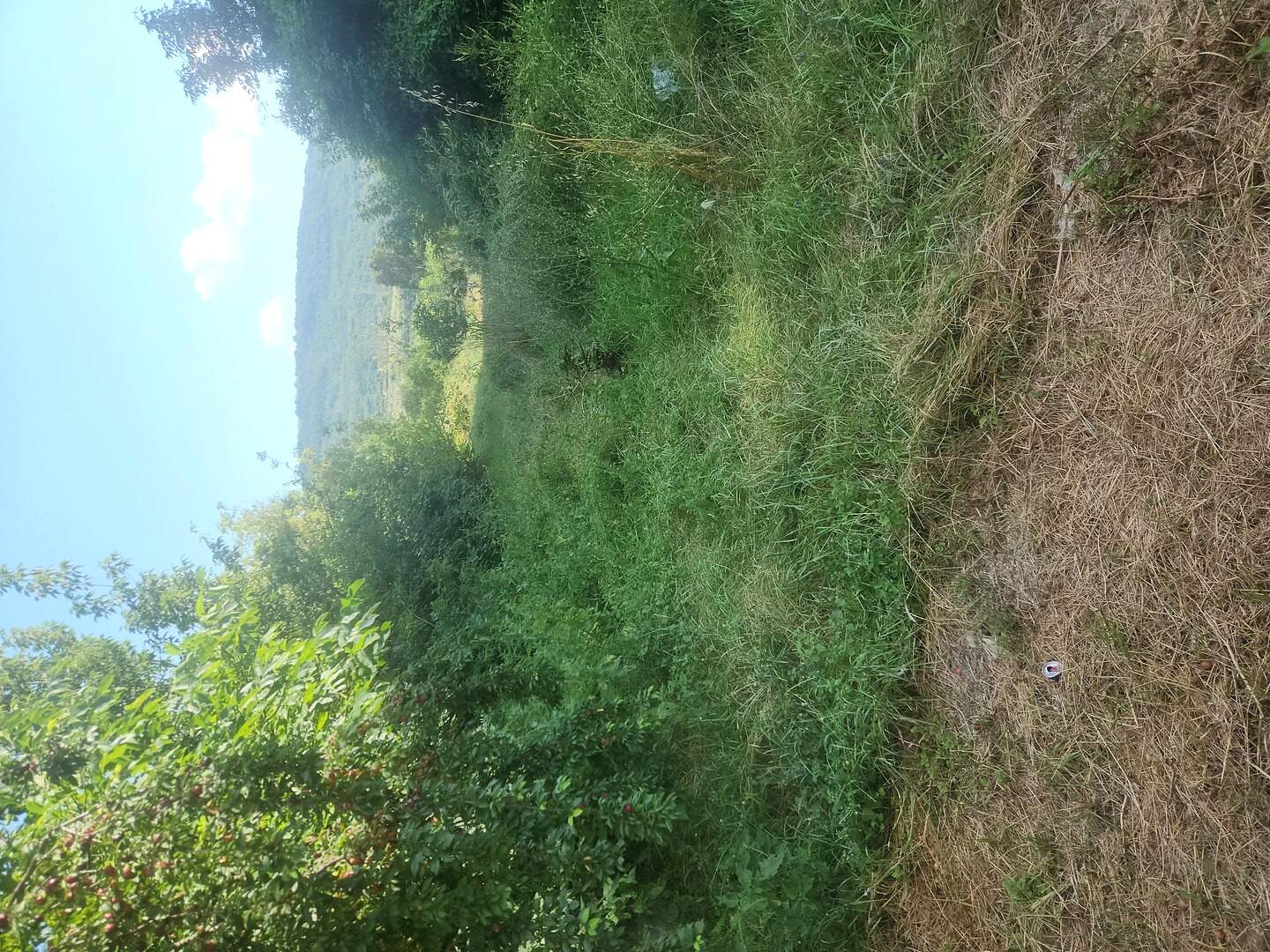 For Construction in Kaspichan, Shumen – photo 3