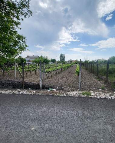 Verkauf - Baugrundstück in Tschernogorowo,  Pazardjik